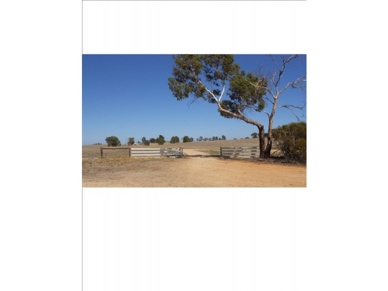 1274 Garra South Road, Parrakie SA 5301