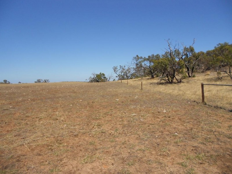 1274 Garra South Road, Parrakie SA 5301