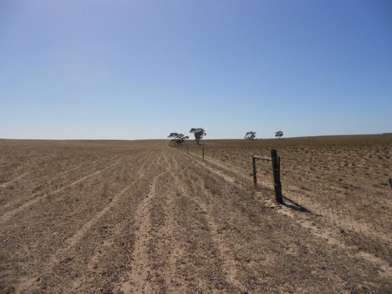 1274 Garra South Road, Parrakie SA 5301