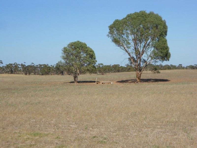 1274 Garra South Road, Parrakie SA 5301