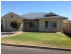 49 Cotton Street, Bordertown SA 5268