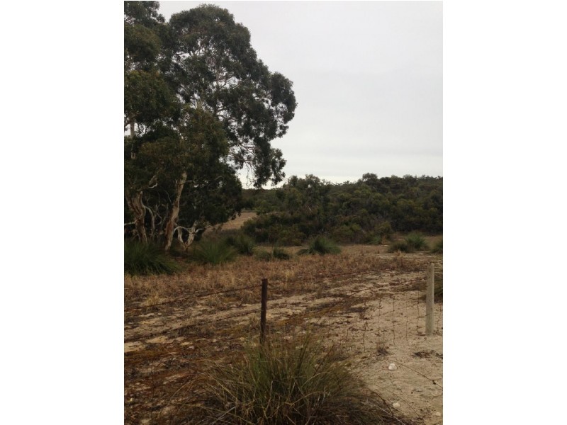 Lot 50 Moeller Road, Coombe SA 5267