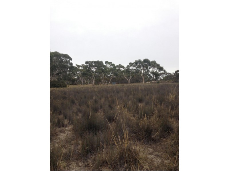 Lot 50 Moeller Road, Coombe SA 5267