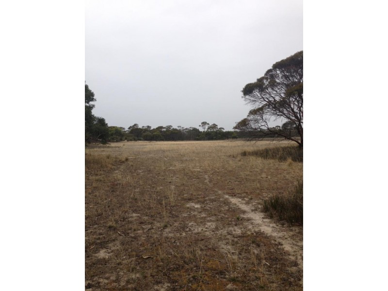 Lot 50 Moeller Road, Coombe SA 5267
