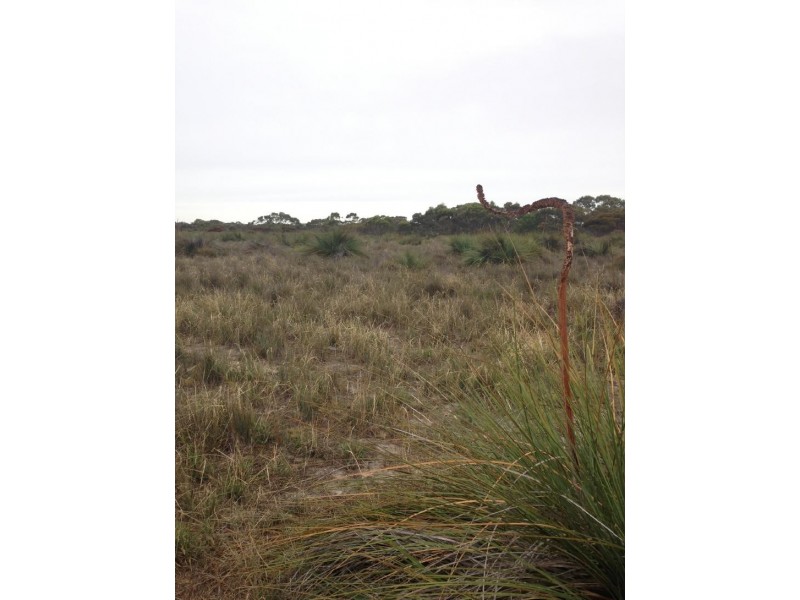 Lot 50 Moeller Road, Coombe SA 5267