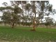 258 Beamma Parsons Rd, Padthaway SA 5271