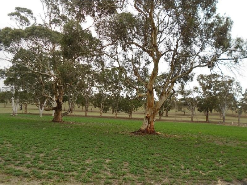 258 Beamma Parsons Rd, Padthaway SA 5271