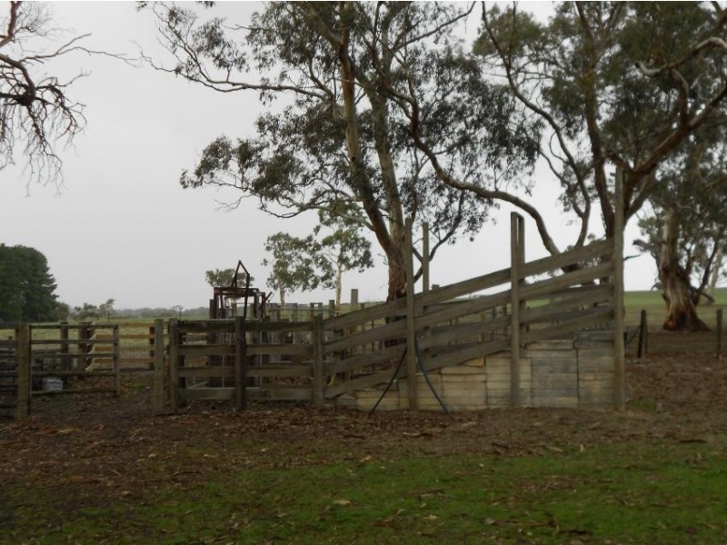 258 Beamma Parsons Rd, Padthaway SA 5271