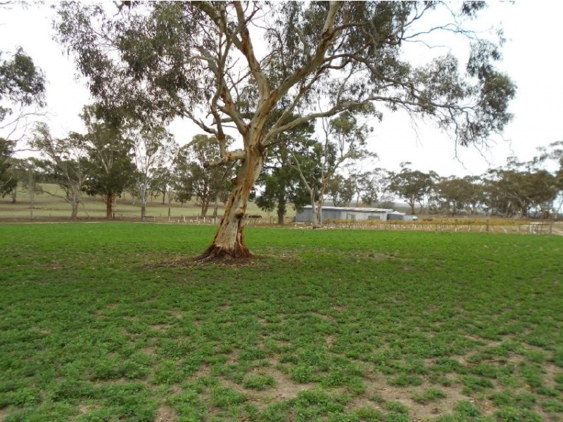 258 Beamma Parsons Rd, Padthaway SA 5271