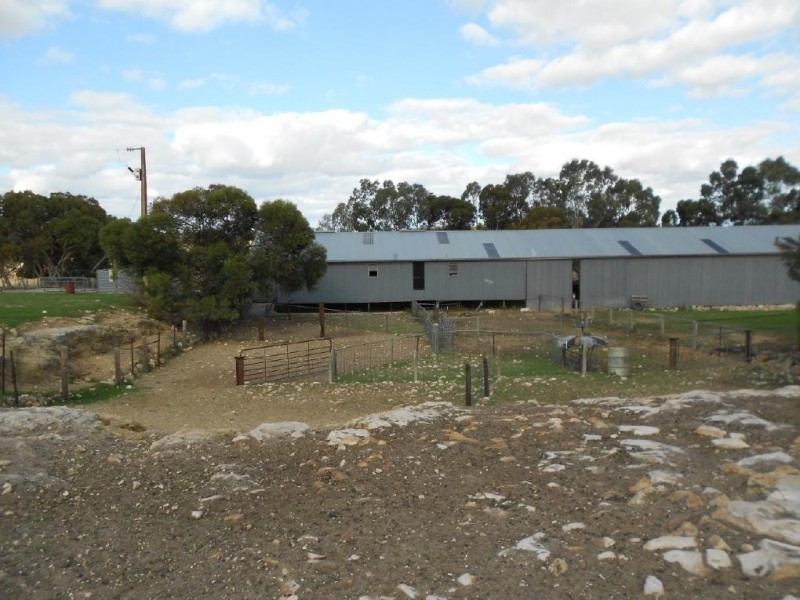 1028 Ladara Bore Road, Ki Ki SA 5261