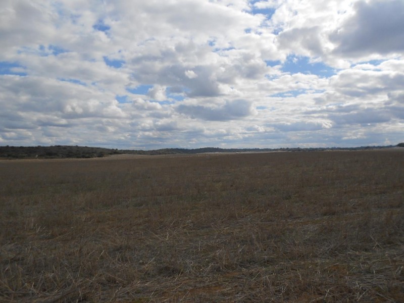 1028 Ladara Bore Road, Ki Ki SA 5261