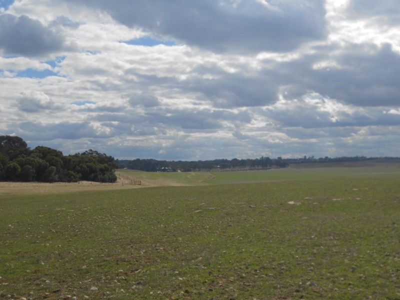 1028 Ladara Bore Road, Ki Ki SA 5261