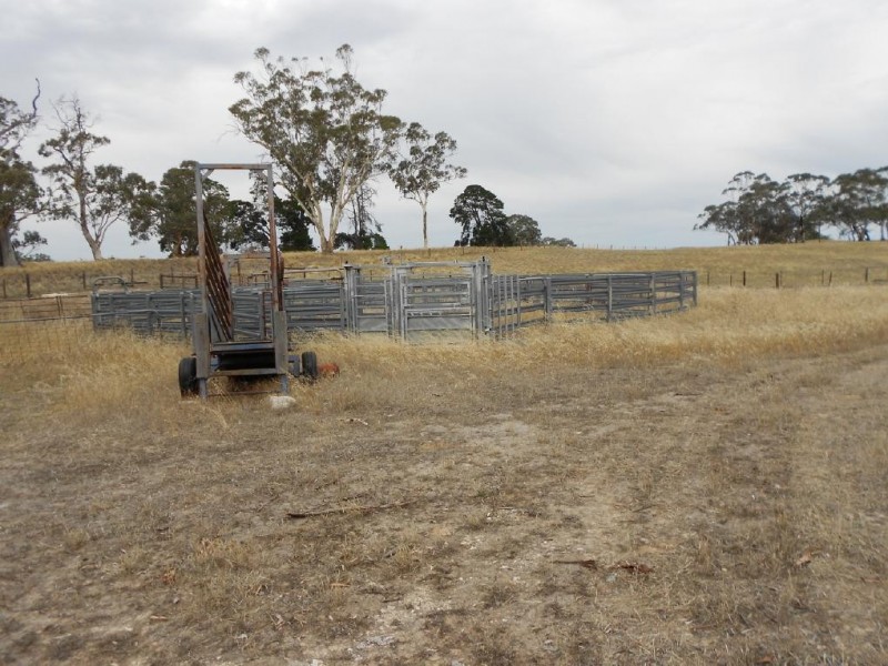 515 Golf Course Road, Bordertown SA 5268