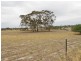 515 Golf Course Road, Bordertown SA 5268