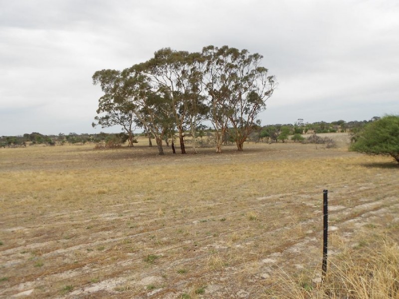 515 Golf Course Road, Bordertown SA 5268