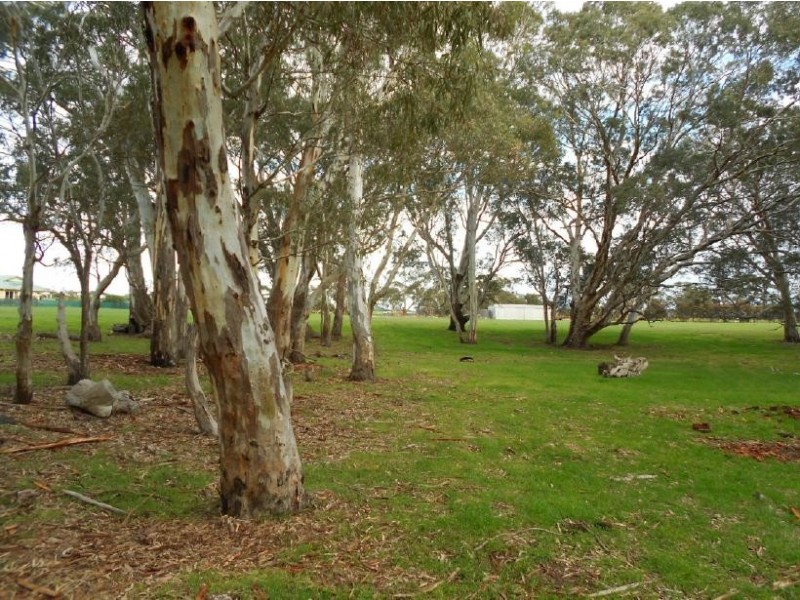 Lot 17 Golf Course Road, Bordertown SA 5268