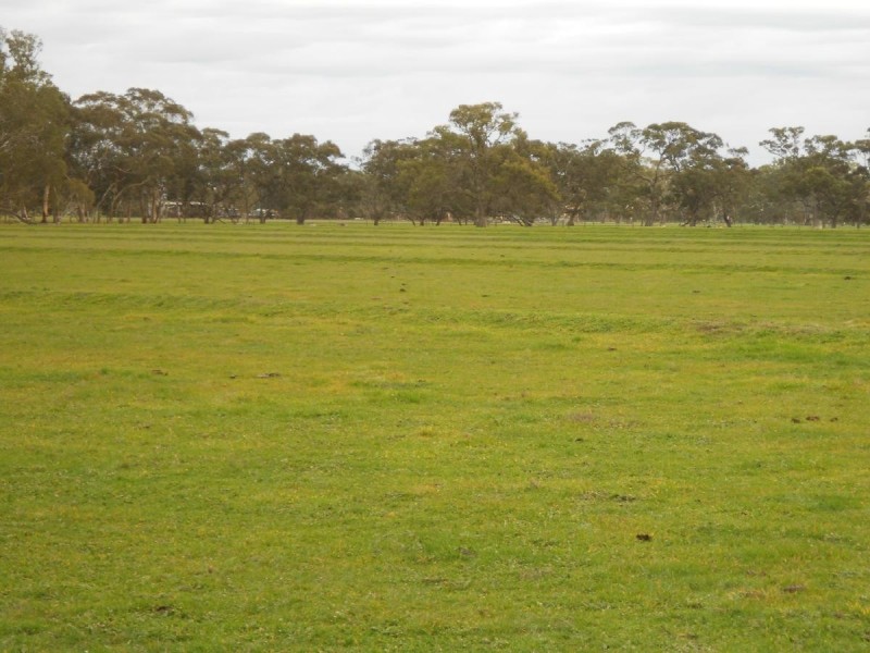 Lot 17 Golf Course Road, Bordertown SA 5268