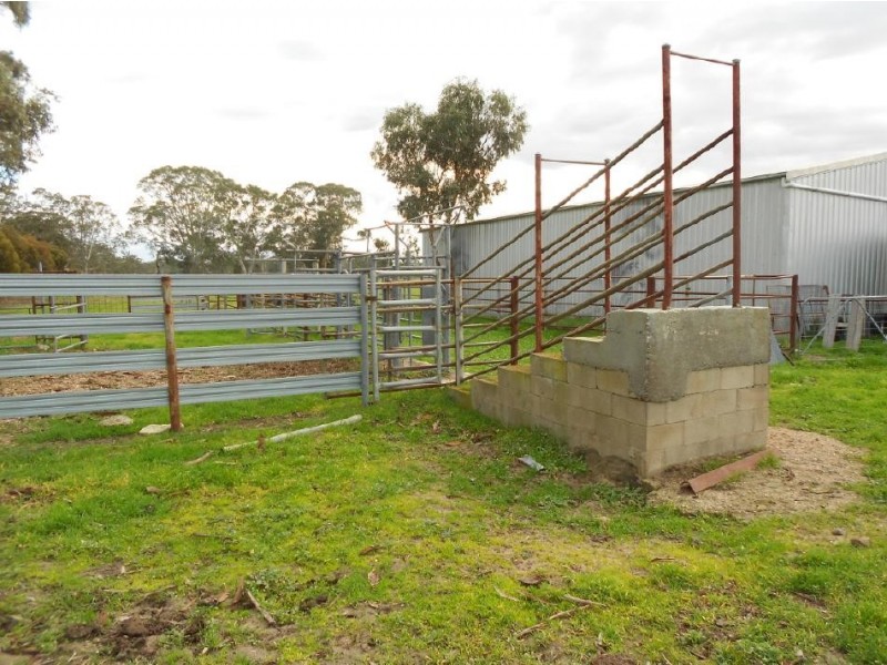 Lot 17 Golf Course Road, Bordertown SA 5268