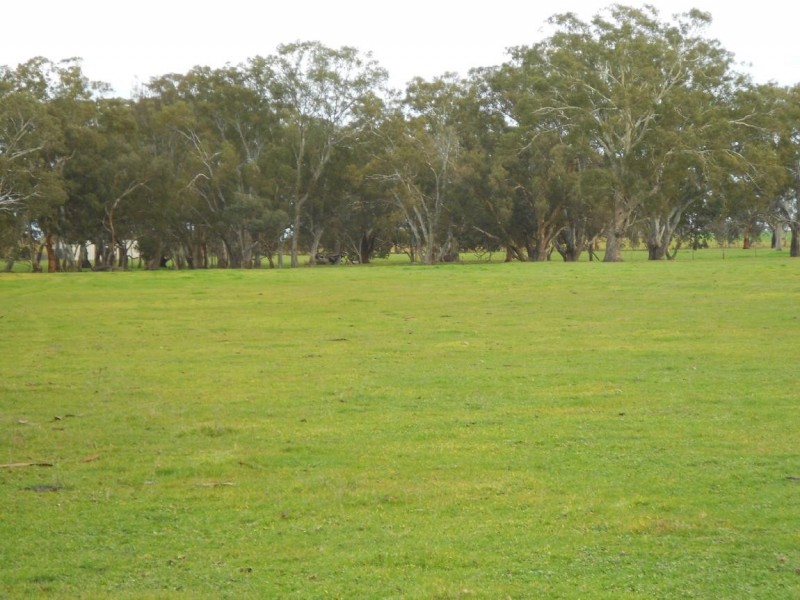 Lot 17 Golf Course Road, Bordertown SA 5268