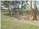 Lot 17 Golf Course Road, Bordertown SA 5268