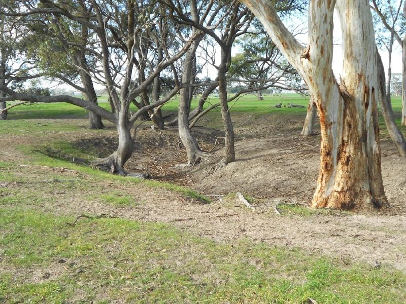 Lot 17 Golf Course Road, Bordertown SA 5268