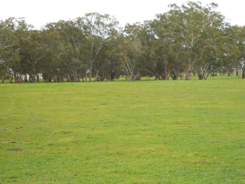 Lot 17 Golf Course Road, Bordertown SA 5268