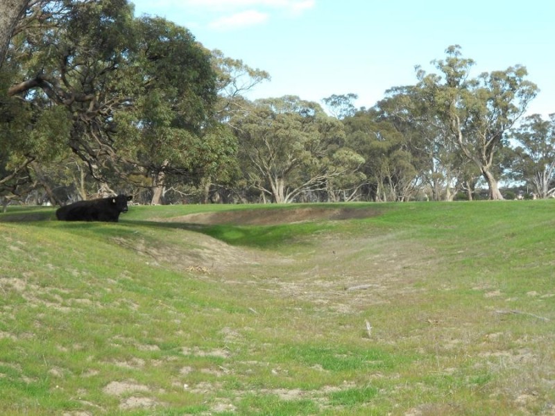 Lot 17 Golf Course Road, Bordertown SA 5268