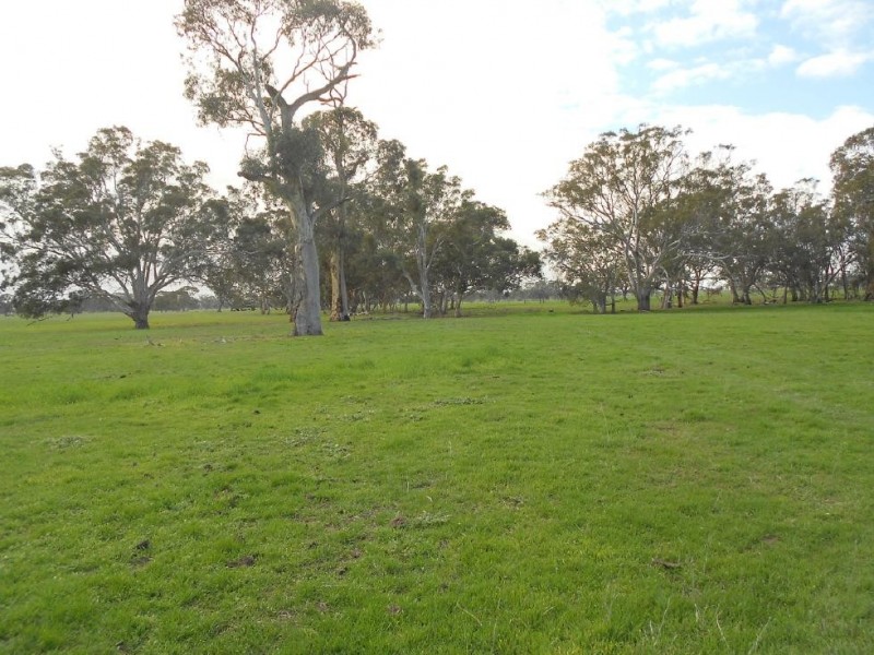 Lot 17 Golf Course Road, Bordertown SA 5268