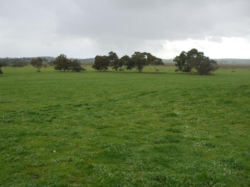 499 Bin Bin, Keilira SA 5275