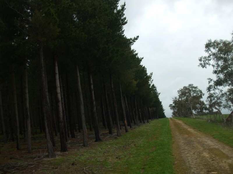 499 Bin Bin, Keilira SA 5275