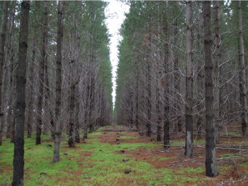 499 Bin Bin, Keilira SA 5275