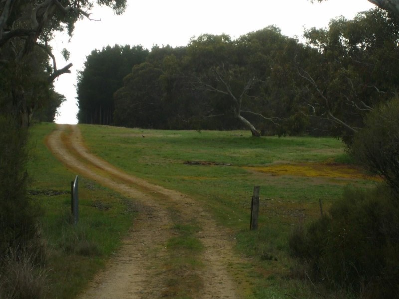 499 Bin Bin, Keilira SA 5275