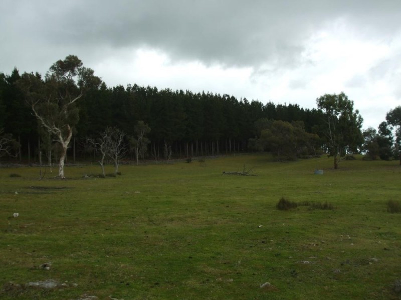 499 Bin Bin, Keilira SA 5275