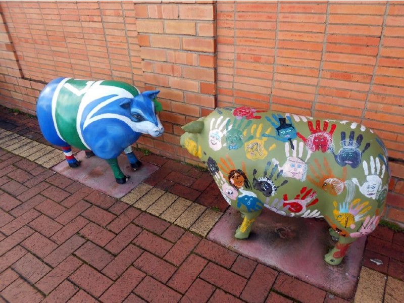 55 Commercial Street, Kaniva VIC 3419