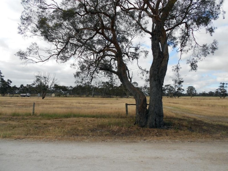 Lot 7 Weir Drive, Bordertown SA 5268