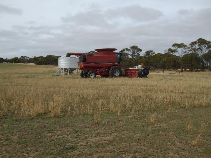 Lot 13 Oaks Road, Pinnaroo SA 5304