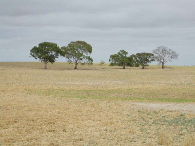 Lot 14 Oaks Road, Parilla SA 5303