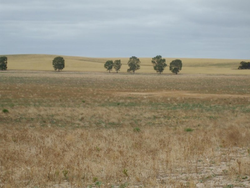 Lot 14 Oaks Road, Parilla SA 5303