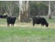 17.. Miles Road, Hynam SA 5262