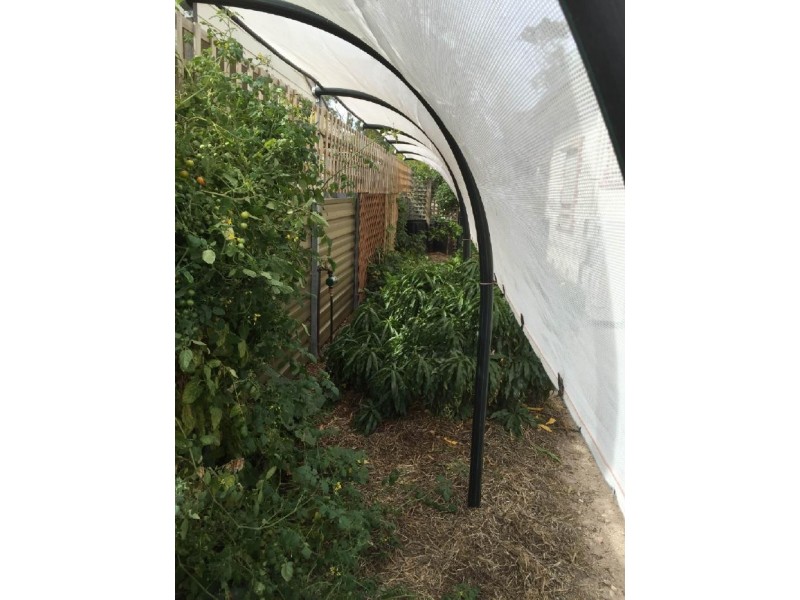 16 Showground Parade, Keith SA 5267