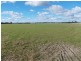 77 O’Connells Road, Bordertown SA 5268