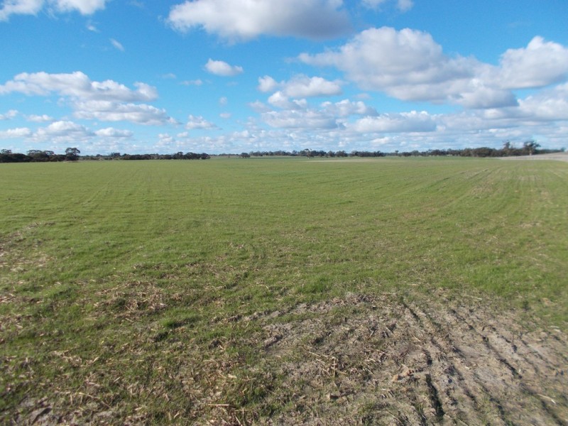 77 O’Connells Road, Bordertown SA 5268