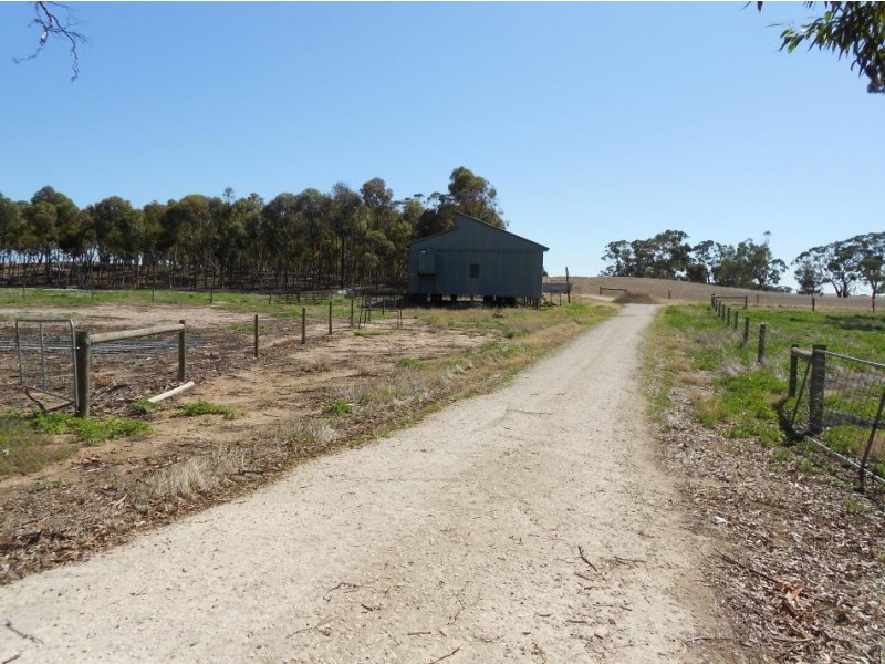 77 O’Connells Road, Bordertown SA 5268