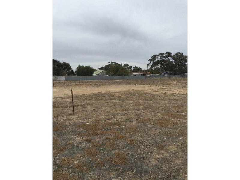 227,230,232 Pigeon Flat Road, Bordertown SA 5268