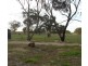 548 Meatworks Road, Bordertown SA 5268