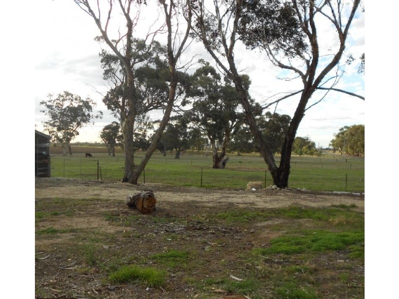 548 Meatworks Road, Bordertown SA 5268