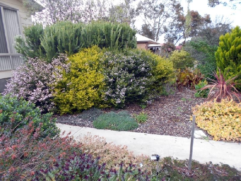 22 Kerslake St, Bordertown SA 5268