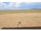 19 Colins Court, Robe SA 5276