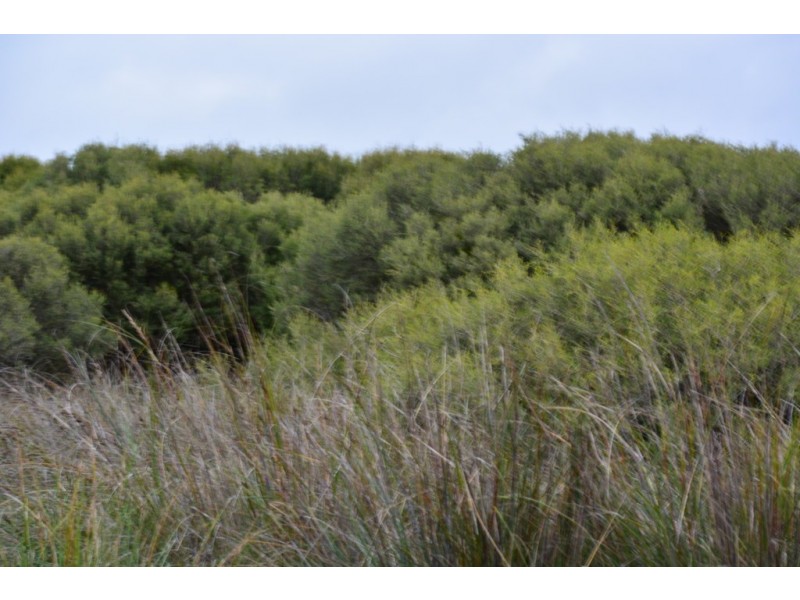 5180 Southern Ports Highway, Robe SA 5276