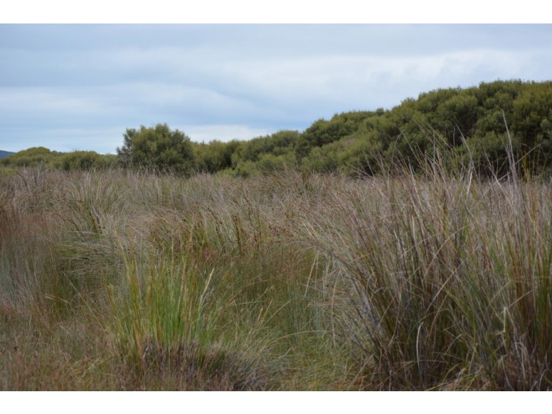 5180 Southern Ports Highway, Robe SA 5276